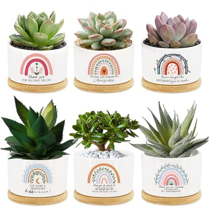Tarklanda 6Pcs Thank You Teacher Gift Rainbow Succulent Plant Pots Mini Ceramic with Bamboo Tray Flower Pot Planters for Colleague Employee Friend Appreciation Thanksgiving, Plants Not Included