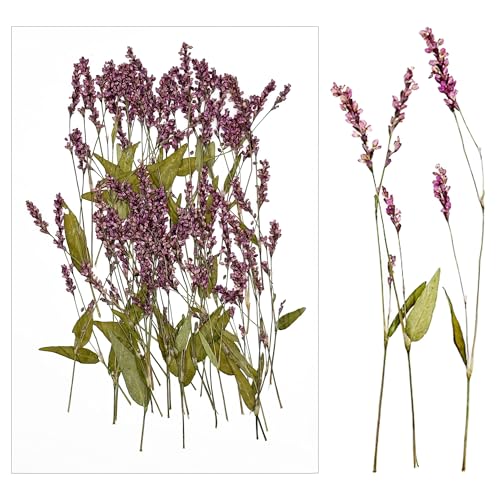 Cayway Natural Dried Pressed Flowers, Natural Dry Flowers Leaves for Art Crafts Resin, Scrapbooking Candles Soap Making DIY, 60 PCS Red Grass Flower - color: Red