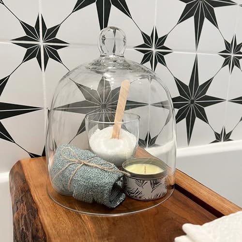 Plymor 7.875 inch x 9.5 inch Bell Jar Glass Display Dome Cloche (Interior Size 7.5" x 7.5") - size: 7.875" x 9.5"