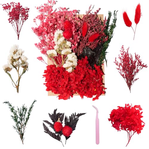 Real Dried Flowers for Resin, Natural Pressed Flowers (Red) | Natural mixed dried flower pack with tweezers for DIY resin,crafts& candles. - color: Red