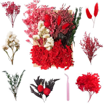 Real Dried Flowers for Resin, Natural Pressed Flowers (Red) | Natural mixed dried flower pack with tweezers for DIY resin,crafts& candles. - color: Red
