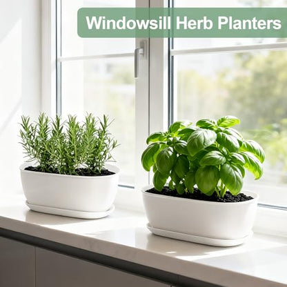 Oliz Set of 4 White Oval Shallow Herb Garden Planters with Drainage Holes and Trays (8.66 Inch) Plant Pots for Herbs Basil Orchids Succulents, Modern Herb Garden Planter for Indoor/Outdoor Plants - size: 8.66 x 6.1 x 3.39-inch