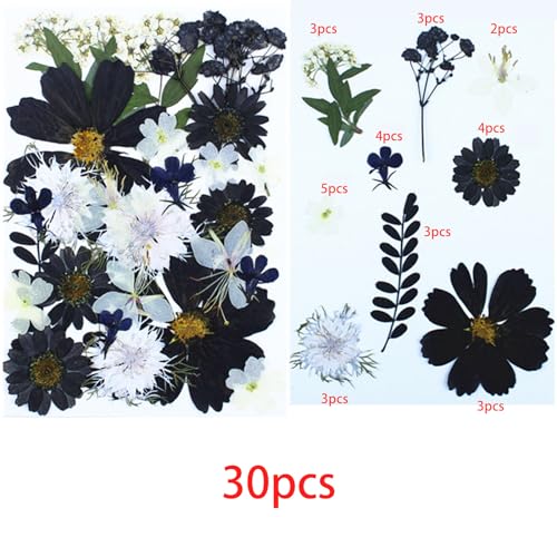 Cayway 2 Pack Pressed Flowers Natural Dried Flowers Black Resin Flowers Real Pressed Flowers with Butterfly Sticker for Resin Scrapbook DIY Art Crafts, Epoxy Resin Jewelry Supplies, Style D - color: Black White Style D