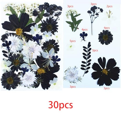 Cayway 2 Pack Pressed Flowers Natural Dried Flowers Black Resin Flowers Real Pressed Flowers with Butterfly Sticker for Resin Scrapbook DIY Art Crafts, Epoxy Resin Jewelry Supplies, Style D - color: Black White Style D