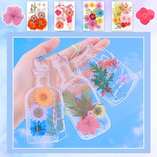 Real Dried Pressed Leaves Natural Dried Leaf for Candle Resin Jewelry Soap Nail Pendant Phone Case Crafts Making Floral Decors Scrapbooking DIY (48 Pcs Real Dried Leaves Flowers) - size: 48 Pcs Real Dried Leaves Flowers