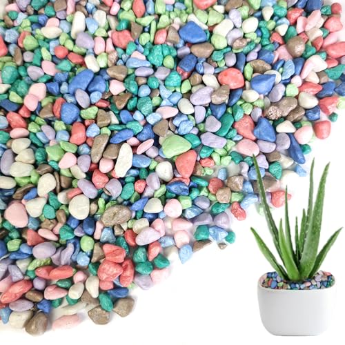 0.88 LB Colored Pea Gravel,Succulent Cactus Topper Dressing Pebbles,3-5mm - color: Assorted Colors