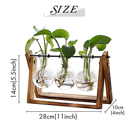XXXFLOWER Plant Terrarium Propagation Station with Wooden Stand, Air Planter Glass Vase Home Indoor Office Decoration - 3 Bulb Vase + Test Tubes 3 Tiers