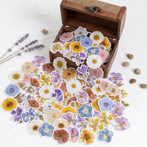 230PCS Vintage Flower Stickers, Dried Pressed Floral Scrapbook Stickers