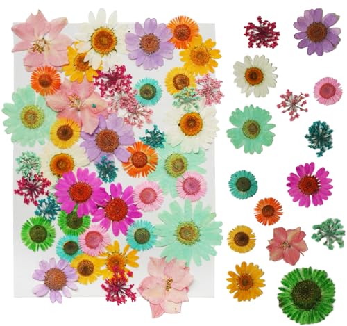 43Pcs Dried Pressed Flowers for Resin, Real Flowers Dry Leaves Bulk Natural Herbs Kit for Scrapbooking DIY Art Crafts, Epoxy Resin Jewelry Molds, Candle, Soap Making, Nails Décor (Flower, 43 Pcs)