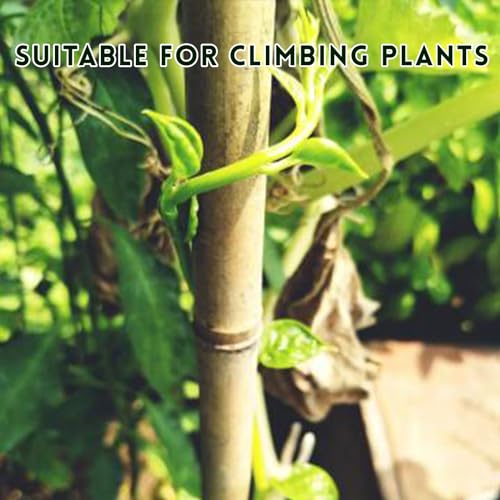 [32 Pcs] Garden Stakes, 18 Inches Natural Bamboo Plant Stakes, Plant Support Stakes with Twist Ties, Bamboo Sticks for Tomatoes, Beans, Flowers, Potted Plants, Indoor and Outdoor Climbing Plants - size: 1.5 Ft, 32 Pack