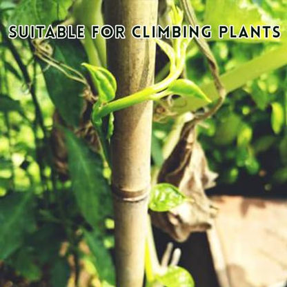 [32 Pcs] Garden Stakes, 18 Inches Natural Bamboo Plant Stakes, Plant Support Stakes with Twist Ties, Bamboo Sticks for Tomatoes, Beans, Flowers, Potted Plants, Indoor and Outdoor Climbing Plants - size: 1.5 Ft, 32 Pack