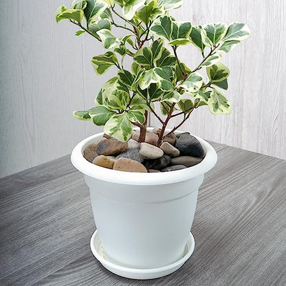 20lbs Aquarium Rocks, 5/8" Natural River Rocks for Plants | Decorative Polished Mixed Pebbles for Fish Tank, Landscaping, Gardening, Flower Pots, Vase Fillers, Indoor Water Fountains - size: 5/8 Inch