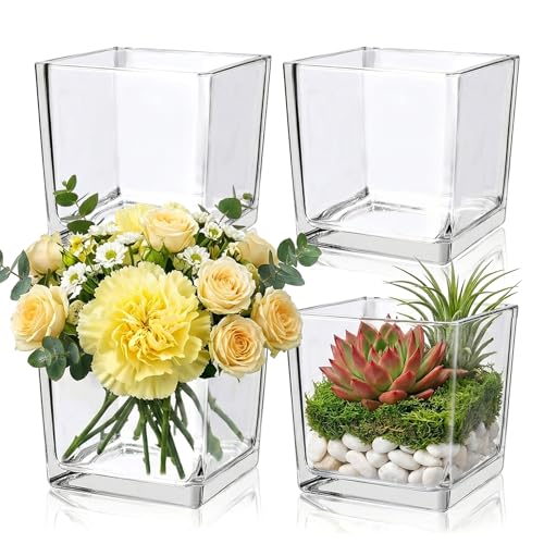 4 Pack Square Glass Vase 6" x 6" x 6", Clear Flower Vase for Centerpieces - size: 6"-4Pack