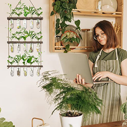 XXXFLOWER Wall Hanging Propagation Station with Wooden Stand 5 Glass Test Tubes 3 Tiered + 2L Long Green Spout Removable Nozzle Flower Watering Pot