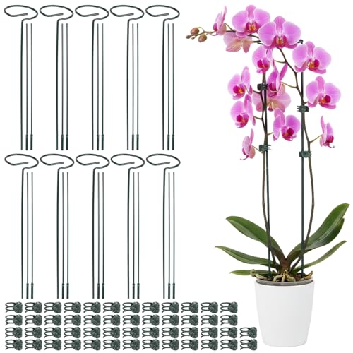 10 Sets Plant Stakes 12/25/36 Inch Adjustable Plant Support Stakes Tall for Indoor Outdoor Plants Holder Stick Steel Garden Stem Pole Amaryllis Stake with 50 Clip for Tomato Orchid Lily Peony Flower