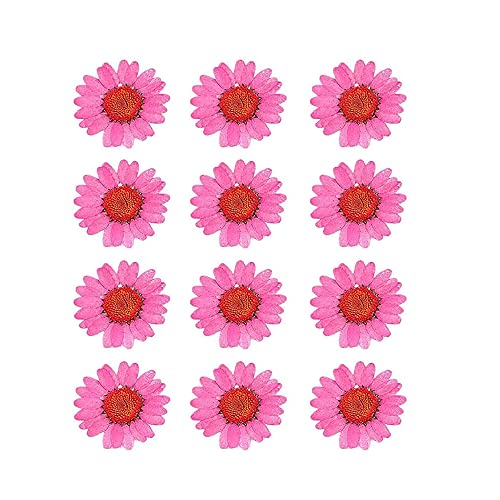 50pcs Natural Dried Daisy Flower, Vacuum Packaging, Pressed Flower for House Decoration, Jewelry Making, Phone case Decoration (Rose Red) - color: Rose Red