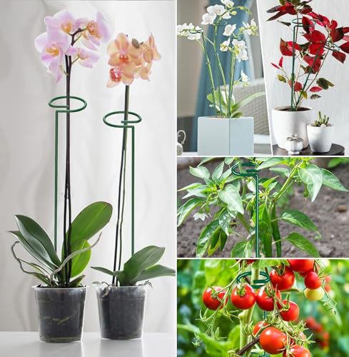 6 Pack 24 in Extendable Plant Support Stakes for Outdoor Plants and Flowers