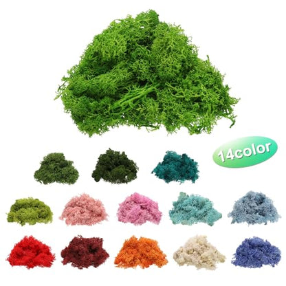 Preserved Reindeer Moss, 4 OZ Fake Moss for Crafts Artificial Dried Moss for Decoration, Craft, Terrariums, Potted Plants, Centerpieces Fairy Gardens (Light Green)