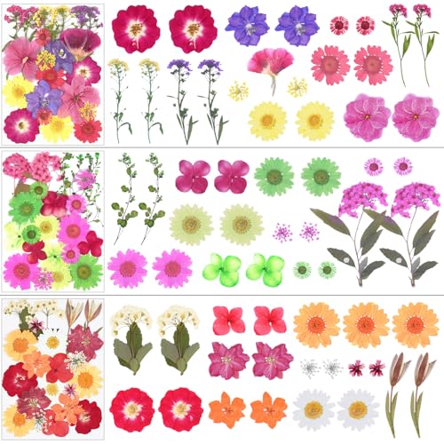 190Pcs Dried Pressed Flowers for Craft,Xinxinran Dry Flower Kit for Resin - color: Bright Color