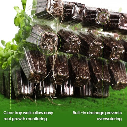 Bonviee Seed Starter Trays with Grow Lights, 80 Cells, 2 Pack | 2 Clear 40-Cell Kits, 80 Cells Total, Four 12-LED Vent Lights, Humidity Domes, Drainage Holes, 1-to-4 USB Cable - color: Clear, size: 2 Packs, with Light