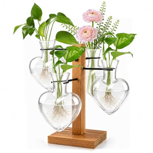 Plant Terrarium Propagation Station with Wooden Stand, 4 Glass Vases - color: Transparent