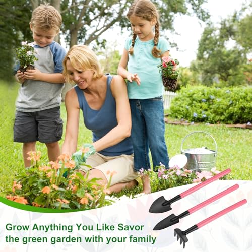 M METERXITY 1-Set Mini Gardening Tools, Stainless Steel Miniature Gardening Rake, Trowel, and Shovel for Seedlings/Bonsai/Succulents/Herbs/Terrariums and Planting, Mini Shovel [Pink] - color: Pink
