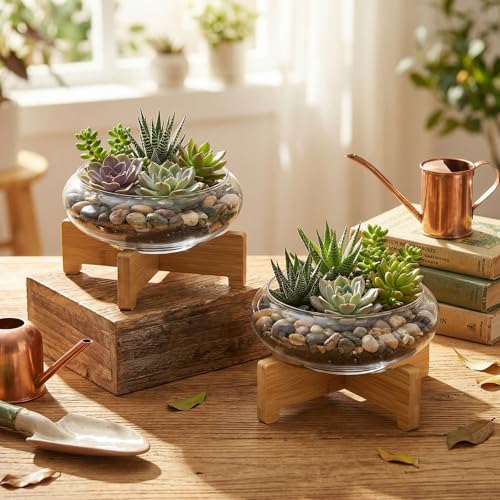 Baderke 2 Pcs Lotus Bowl Planter with Base 5.9 inch Glass Hydroponic Planter Water Lily Bowl for Planting Aquatic and Indoor Plants Clear Terrarium Household Basin Decor