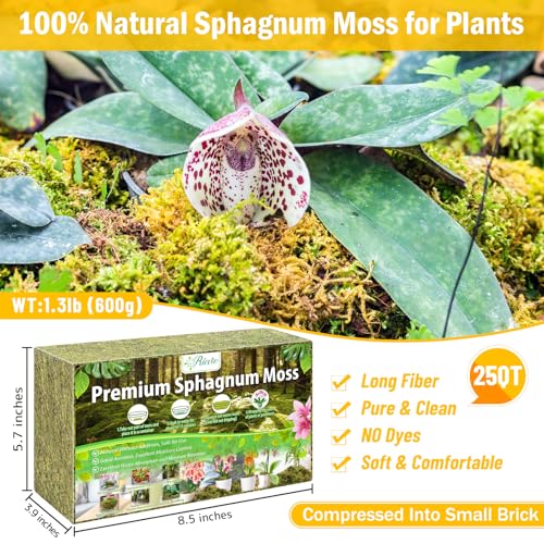 Riare 1.3LB Premium Sphagnum Moss for Plants- 25QT Natural Dried Plant Moss - size: 25 QT(Appx.1.3lbs)