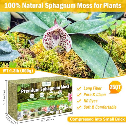 Riare 1.3LB Premium Sphagnum Moss for Plants- 25QT Natural Dried Plant Moss - size: 25 QT(Appx.1.3lbs)