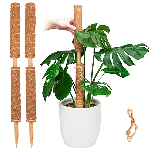 Pisol Moss Pole for Plants Monstera, Extendable Plant Sticks Support, 4Pcs | 15.7'', Help Plants Grow Better, Natural Coconut Plam Fiber, Easy and Fast Installation, Suitable for Indoor Outdoor Plants - size: 15.7" * 4pc
