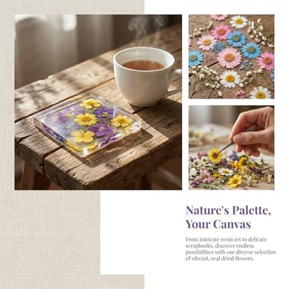 135 Pcs Dried Pressed Flowers for Crafts Resin Real Flat Natural Pressed Flowers with Tweezer for Scrapbooking Silicone Epoxy Resin Molds Crafts Candle Soap Making Nail Bookmark Jewelry DIY Art Supply - color: 135pcs Purple