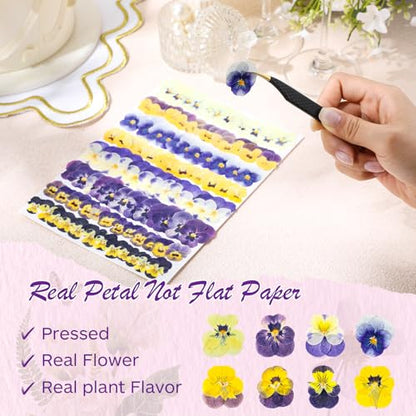 96 Pcs Pressed Edible Flowers, Purple, Flower Style | Natural Dried Flowers for Cake Topper Cupcake, Cocktails Garnish, Resin Jewelry DIY, Soap, Candle Making Art Crafts - color: Purple, style: Flower Style