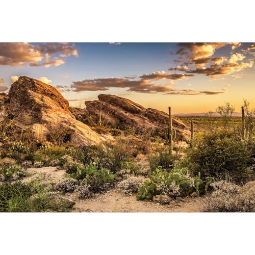 Desert Mountain Reptile Tank Background Sunset Rock Mountain Gobi Aquarium Background Blue Sky Gobi Barren Thorns Mountain Reptile Enclosure Backgrounds Cactus Mountain Fish Tank Backgrounds 24x12in - color: Gobi Orange, size: 24(W)x12(H)in