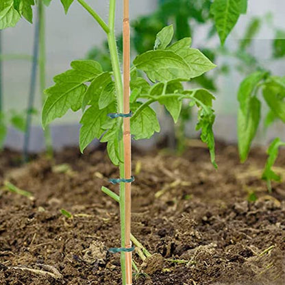 Yowlieu 20 Pcs Natural Bamboo Stakes + 1 Roll Garden Ties, 18 Inches Bamboo Sticks Gardening Plant Support Stakes for Indoor Plants, Tomato, Potted Plants - size: 20 Pcs Stakes + 1 Roll Plant Ties