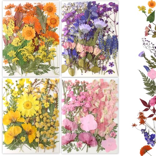 80Pcs Pressed Flowers, Dried Flowers Natural Pressed Flowers Bulk for Resin Molds, Nail Art, Scrapbooking, Candle Holder, Jewelry Making, Real Dried Pressed Flowers DIY Crafts Supplies Kit - color: Multi Color-9