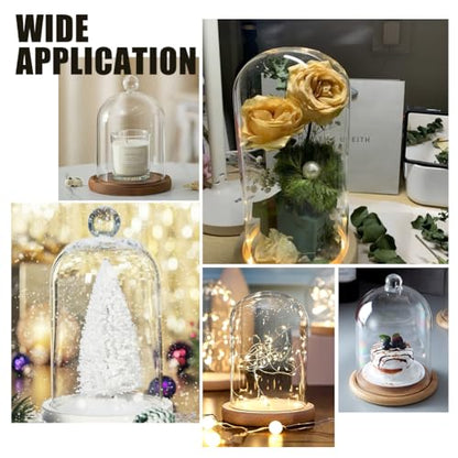 BENECREAT 8x4.5inch Glass Display Dome Inch Cloche Dome with Base Clear Dustproof Dome with Handle Bell Jar Centerpiece Display Case for Wedding Decor, Specimens Plants DIY