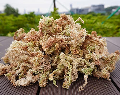 5oz Sphagnum Moss for Plant Propagation, Great Orchid Potting Mix, Help with Maintain Humidity - size: 5 oz