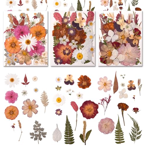 100 PCS Cream Color Pressed Dried Flowers & Leaves | Real Natural Dried Flowers, With Tweezers, For Resin, Candle, Jewelry, Scrapbooking & DIY Crafts - color: Cream Color 100