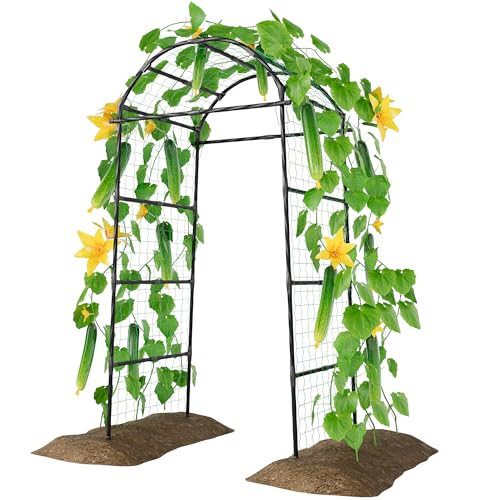 Miory Garden Arch Trellis for Climbing Plants Outdoor, 7ft Tall Plants Support Trellis for Climbing Vine Tomato Vegetable Flower Fruit, Cucumber Trellis for Raised Bed (32 x 83 Inch) - size: 32"Lx83"H