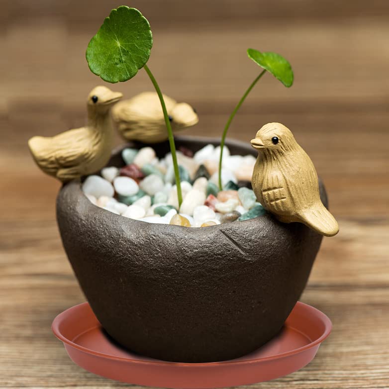 2 Pack of 8 inch Plant Saucer, Bird Bath Bowl 8 inch, Plant Dishes Saucer, Flower Plant Water Trays for Indoors, Plate for Planter 7-9" (8 inch, Terracotta) - size: 8" (2 pack)