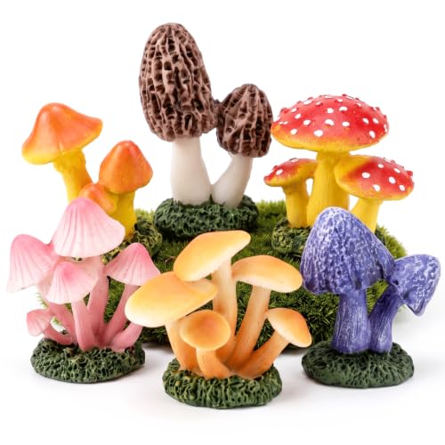 6PCS Mini Mushroom Figurines, Assorted Cute Mushroom for Decor & Gifts - color: 6 Styles