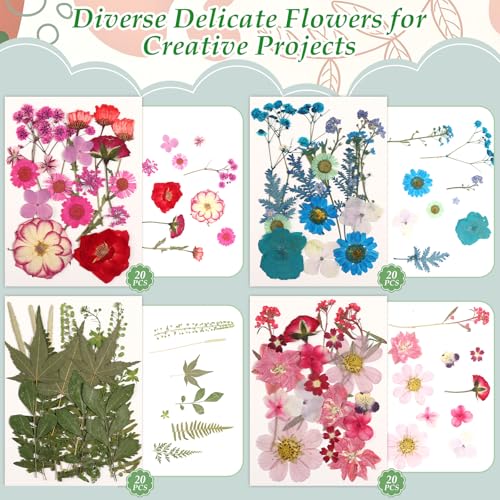 500 PCS Dried Flowers Butterfly Stickers for Crafts Real Natural Pressed Flowers Dry Leaves Kit for DIY Making Crafts Resin Soap Candle Scrapbook Supplies Card Making Jewelry - size: 500 Pcs Dried Flowers with Butterfky