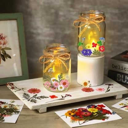 Tinideya 154 Pcs DIY Pressed Flowers Mason Jar Set Pressed Flower Lanterns 12 Mason Jar 140 Natural Real Dried Flower Centerpiece Making Favor for Wedding Craft