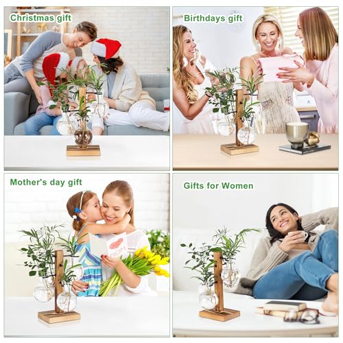Plant Propagation Station with 4 Glass Vases & Wood Stand, Hydroponic Air Planter for Indoor Plants, Unique Gardening Gift for Women & Plant Lovers, Desktop Terrarium for Home Decor