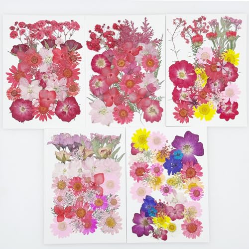 Cayway 170 PCS Dried Pressed Flower, Pressed Flowers and Leaves for Resin, Real Nature Pressing Floral Leaves for DIY Craft, Jewelry Making, Candle Scrapbooking Supplies, Red - color: 170pcs-red