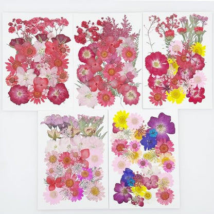 Cayway 170 PCS Dried Pressed Flower, Pressed Flowers and Leaves for Resin, Real Nature Pressing Floral Leaves for DIY Craft, Jewelry Making, Candle Scrapbooking Supplies, Red - color: 170pcs-red