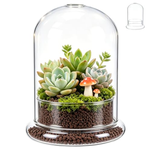 Mini Glass Terrarium Kit 4.7"x6.3" Glass Dome Cloche with Base and Air Hole Plant Terrarium Clear Display Case for Carnivorous Plant Moss Home Decor for Tabletop