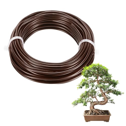 M METERXITY 1-Pack Bonsai Training Wire, 2.5mm x 33ft/10m Anodized Aluminum Bonsai Tree Wire for Gardening Branch/Fine Trunk/DIY Crafting [Dark Brown] - color: Dark Brown, size: 2.5mm