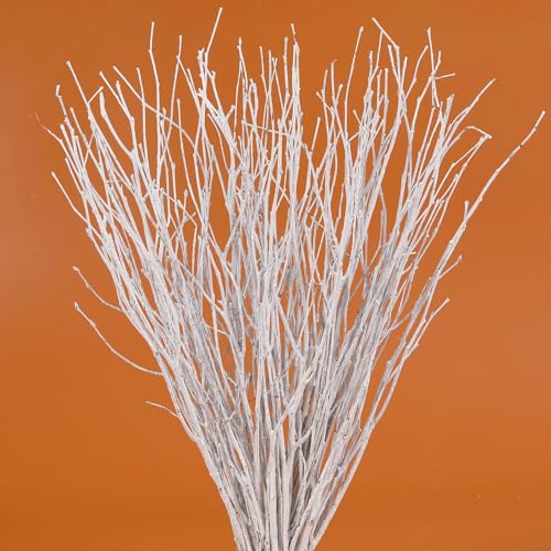 30Pcs Real Dried Birch Twigs - 17" White Decorative Birch Branches for Vase, Centerpiece, Wedding Decor, Sticks for DIY Crafts, Twig Wreath, Flower Arrangement, Plants for Rustic Home Decor - color: A-white