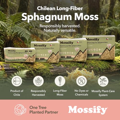 Mossify Sphagnum Moss for Plants, 1kg 2.2 lbs | Long Fiber Moss, Indoor, Orchids, Terrariums, Gardening, Reptiles, Moisture Plant, Propagation, Soil, Habitat Bedding - size: 1kg (2.2 lbs)
